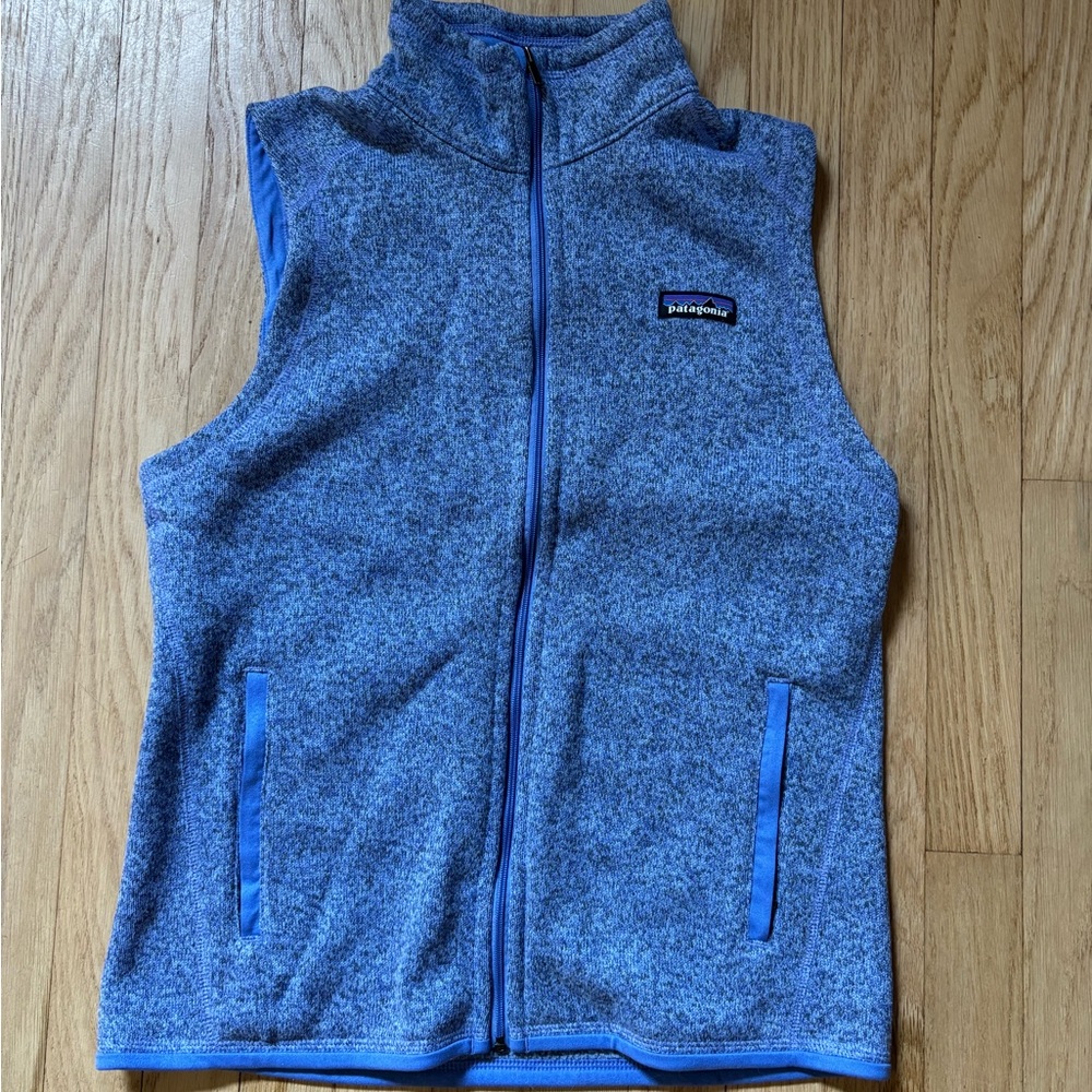 Patagonia Heathered Blue Fleece Vest